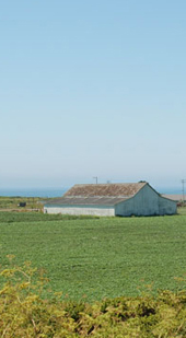 corner image